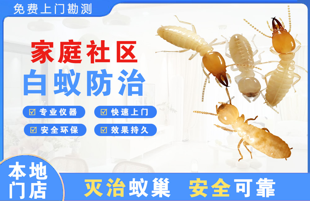 个旧家庭社区白蚁防治