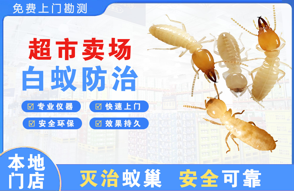 个旧超市卖场白蚁防治