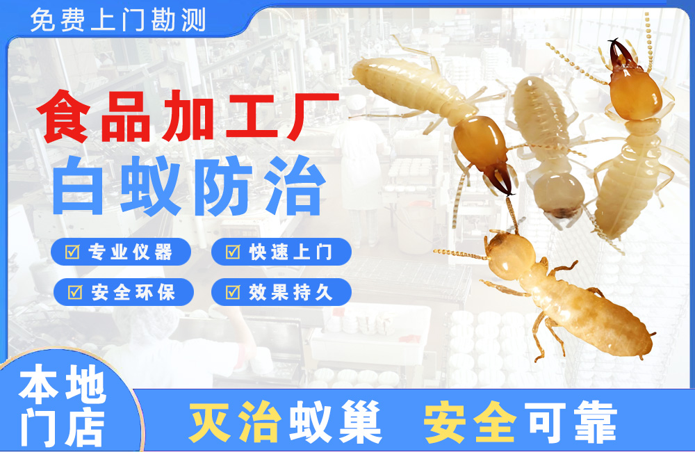 个旧食品加工厂白蚁防治
