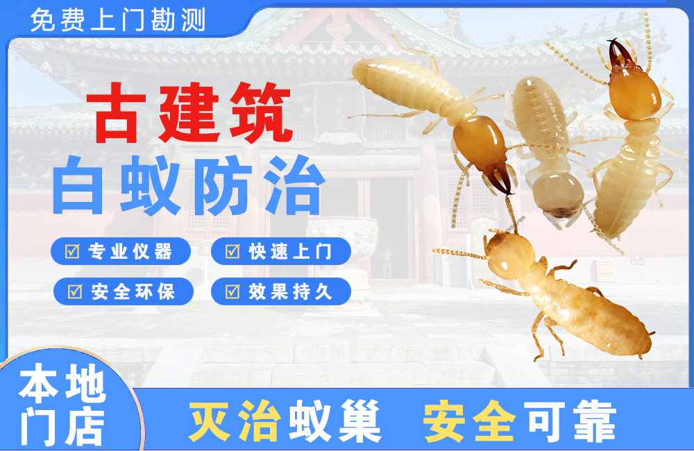 个旧古建筑白蚁防治